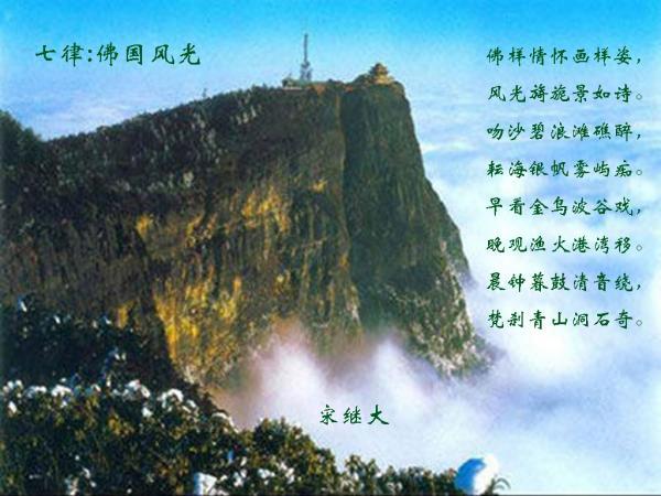 救援大胡子斗士